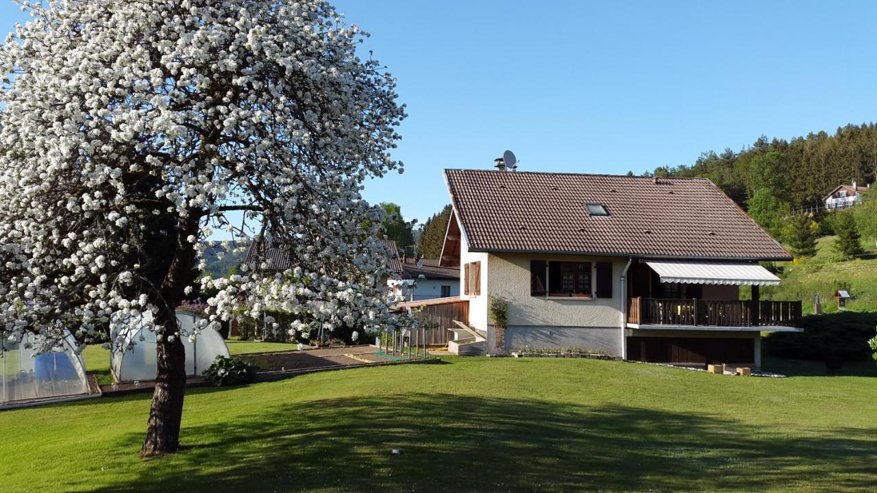 Les Jumeaux Leilighet Granges-sur-Vologne Eksteriør bilde