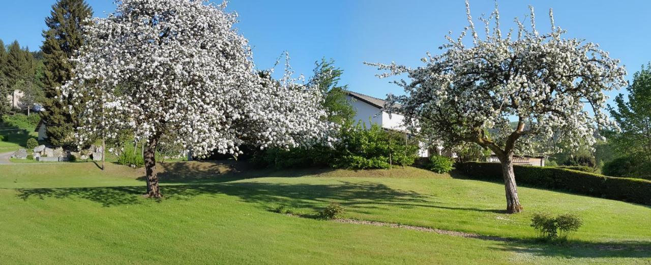 Les Jumeaux Leilighet Granges-sur-Vologne Eksteriør bilde