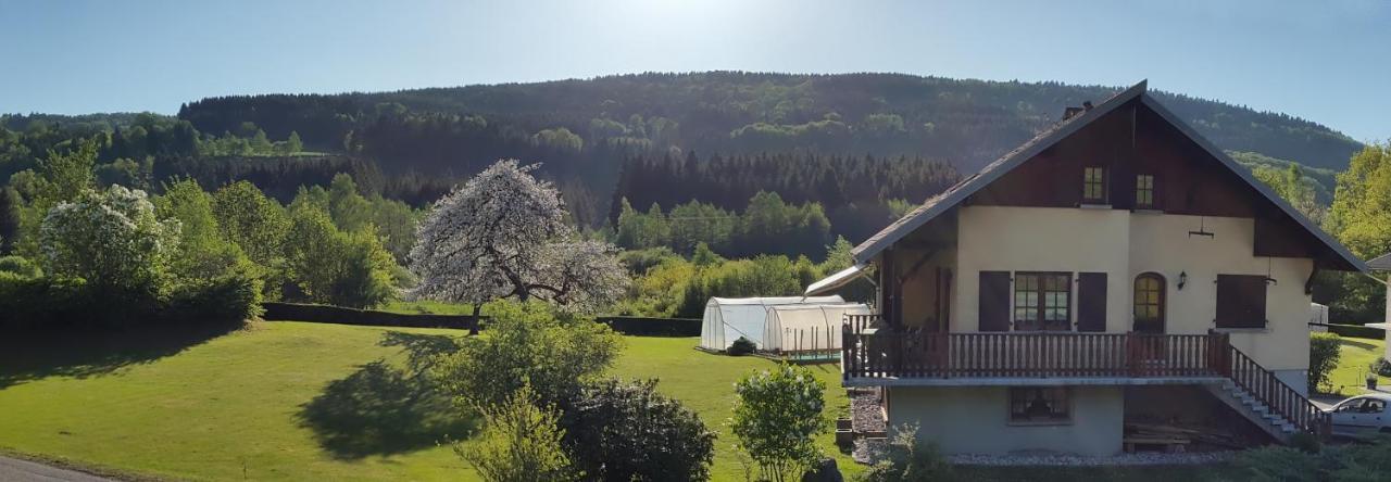 Les Jumeaux Leilighet Granges-sur-Vologne Eksteriør bilde